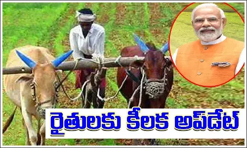 PMKisan, 15thinstallment, 3tasks, PMKisan 2000 rupees, Modi government schemes, PMkisan funds,farmer, pm kisan scheme,