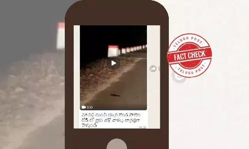 Tiger walking on the road, Macherla-Yerragondapalem, Viralvideo, Tiger Viral Video, Macherla, Yerragondapalem, Whatsapp Video