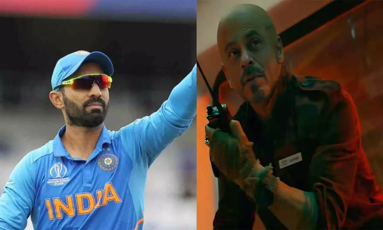 Dinesh Karthik tweet, Shah Rukh Khan, Jawan