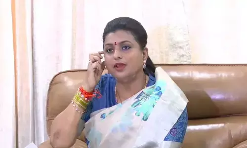 rk roja, ycp, tdp, cases