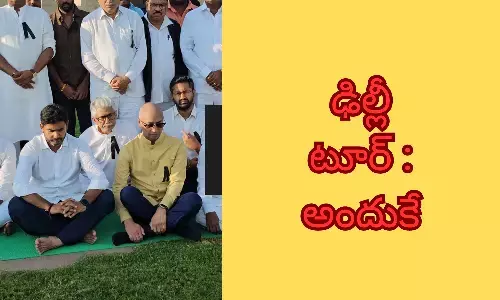 cbn arrest, nara lokesh, delhsi, bjp