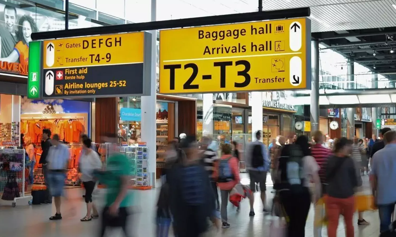 curry powder, newzealand airport, indian women, fine