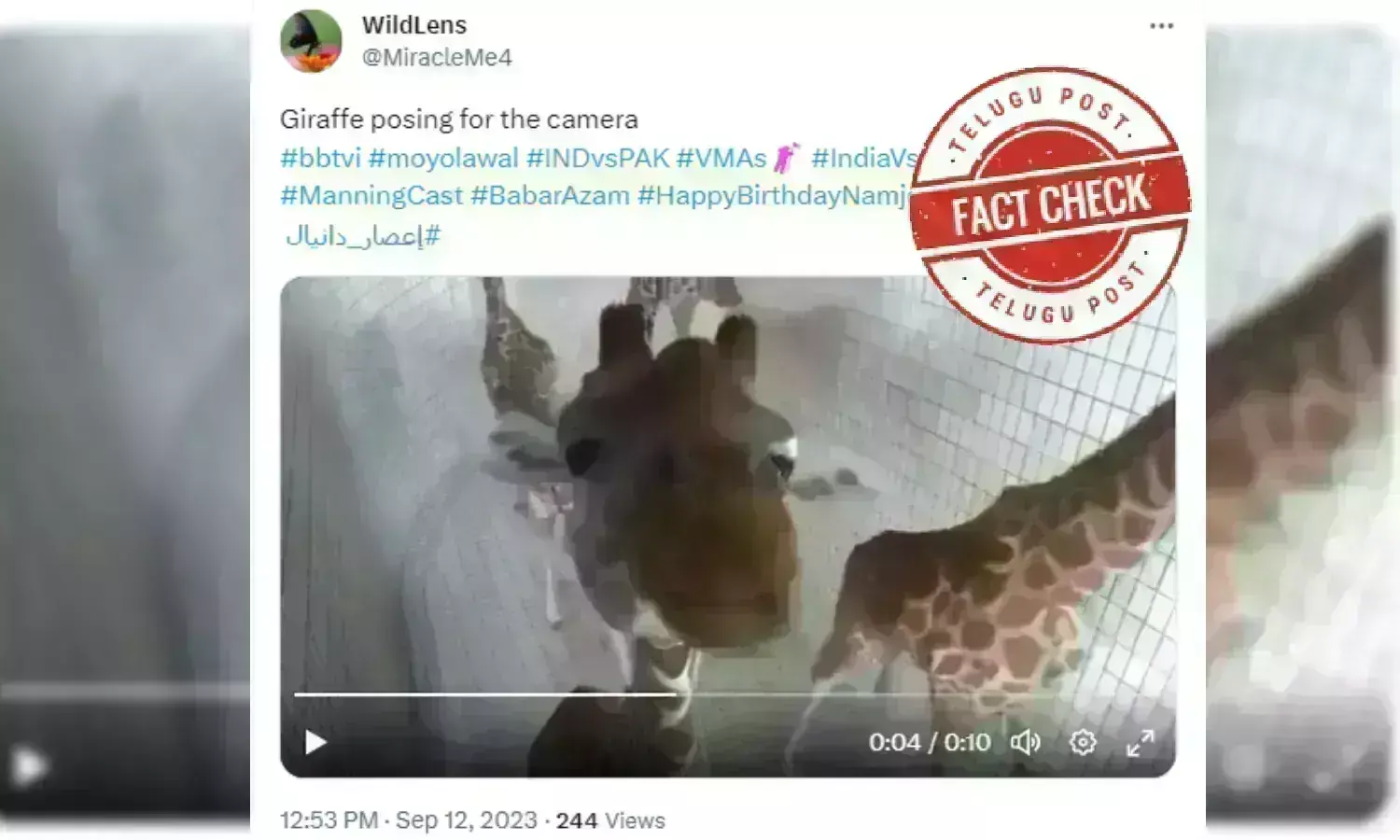 Fact Check: کیمرہ کے لیے پوز دیتے ہوئے زراف کی ویڈیو Animated ہے