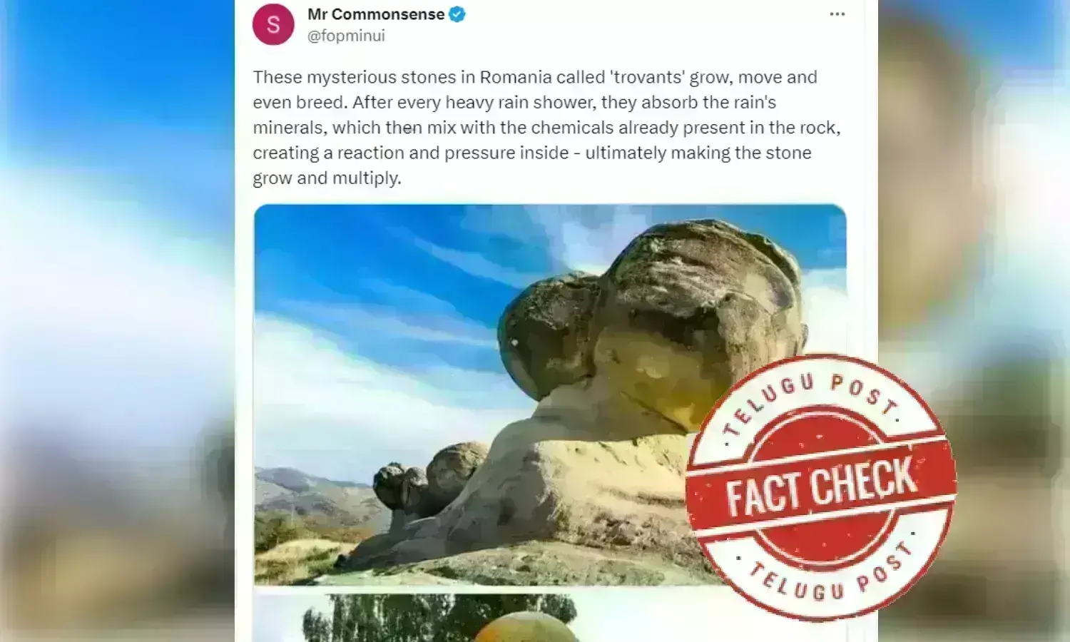 Mysterious, Mysterious Stone, Romania, Trovant Stone, fact check, urdu fact check, telugupost,
