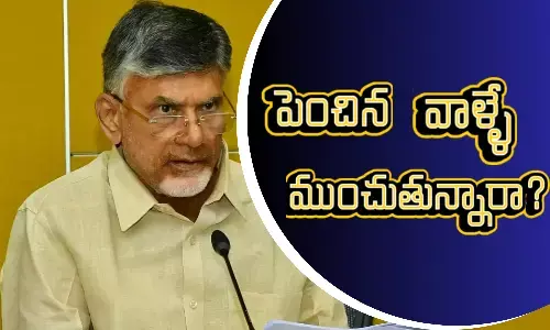 nara chandrababu naidu, aptdp, eenadu, ys jagan