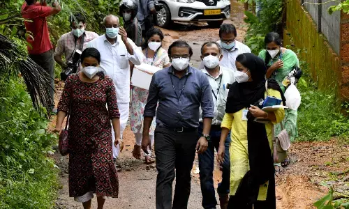 kerala, niphavirus, newvirus, niphavirusnews