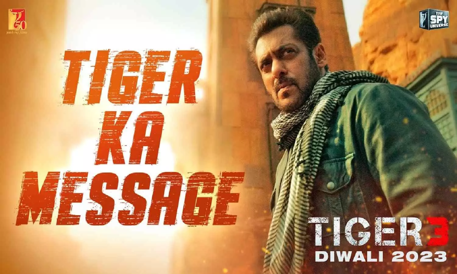 Salman Khan, Katrina Kaif, Tiger 3, Tiger Ka Message