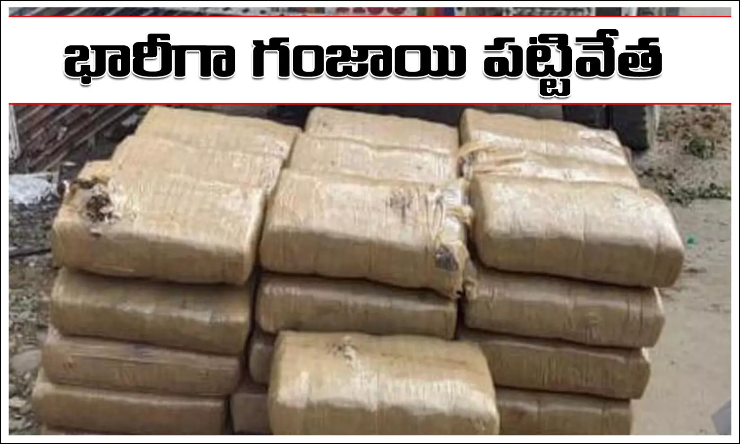 Cannabis seized Cannabis seized