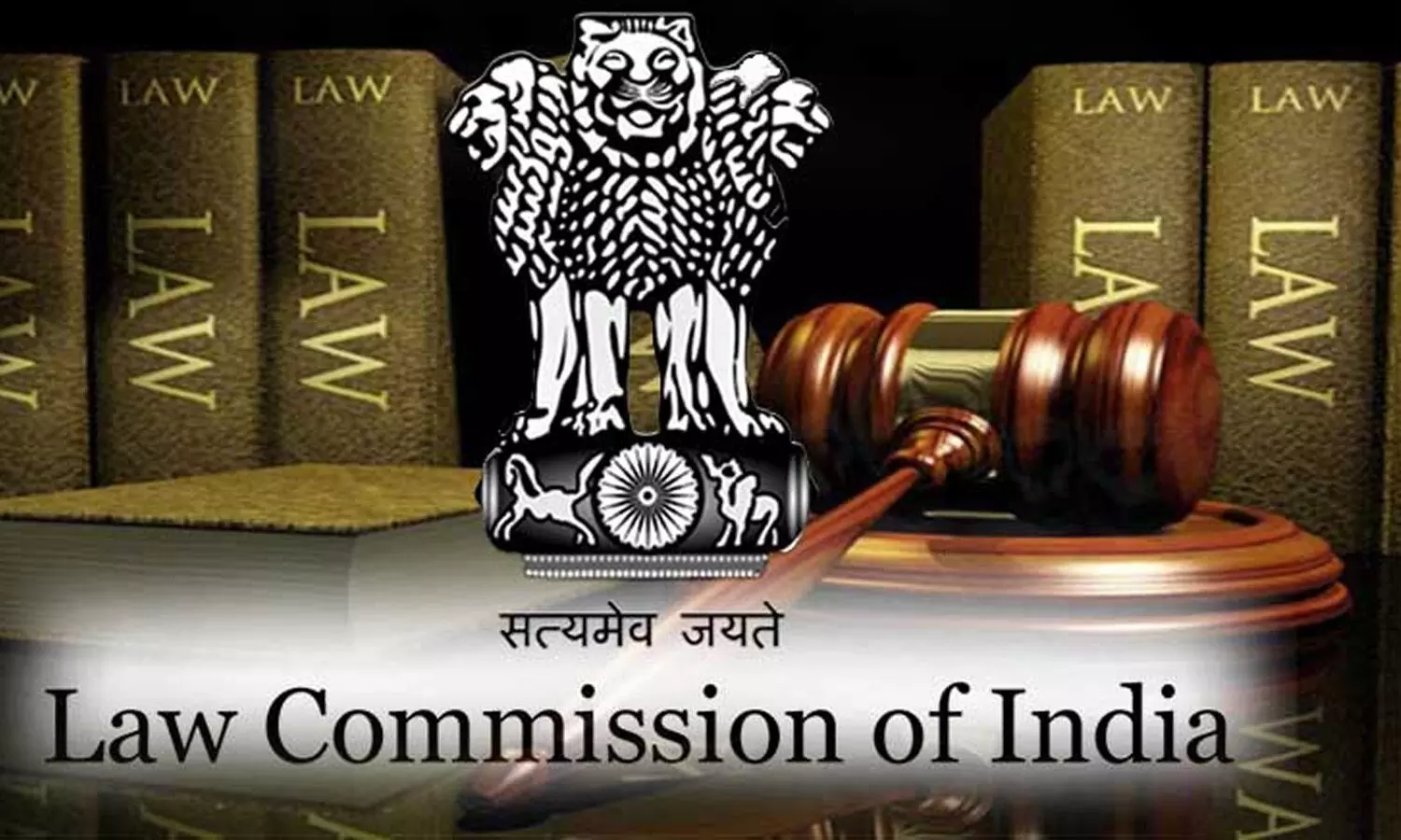 law commission, jamili elections, 2024 loksabha elections, central governent