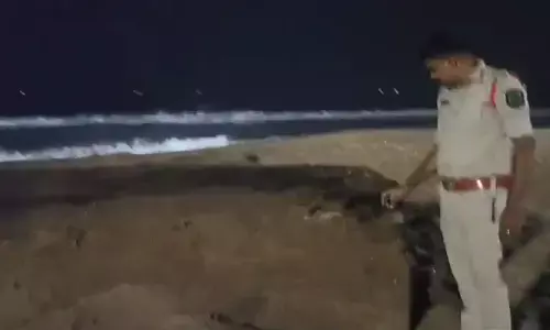 box , stir,sea shore, visakha, curious