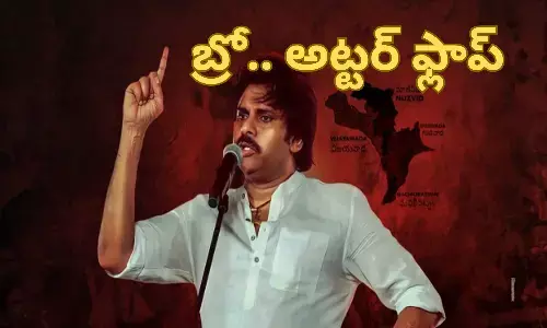 pawan kalyan, kapu community, caste, cadre
