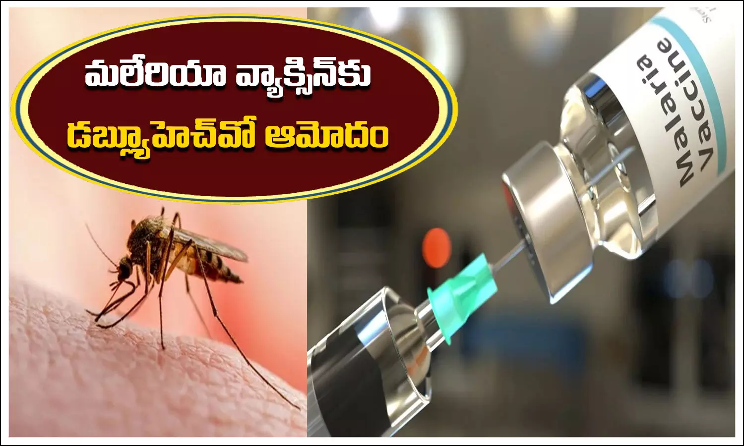Malaria Vaccine