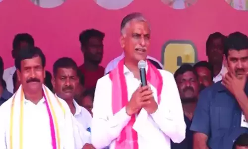 harish rao, brs, kodangal, telangana