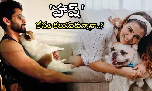 Samantha, Naga Chaitanya, NC23