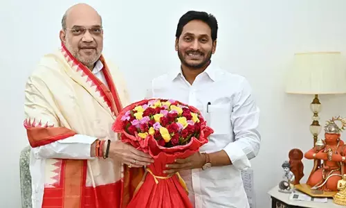 ys jagan, amit shah, delhi, meeting