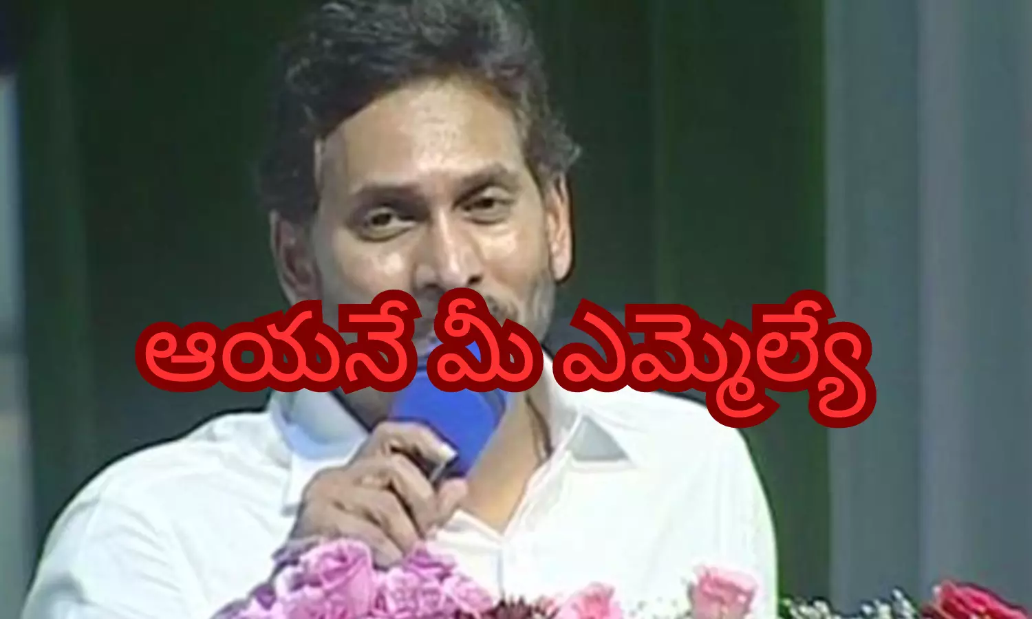 ys jagan, ticket, mla, dorababu