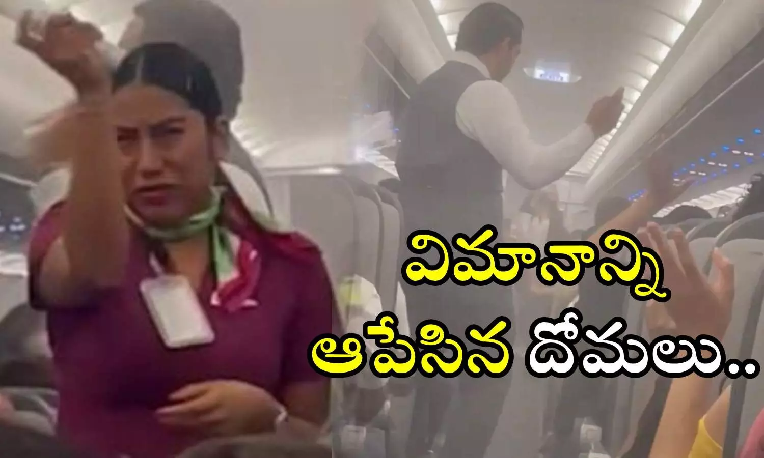 Volaris flight, mosquito attack, Mexico