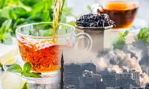Israel Hamas Conflict, Israel, Assam Tea Exporters, India, Assam Tea, Iran
