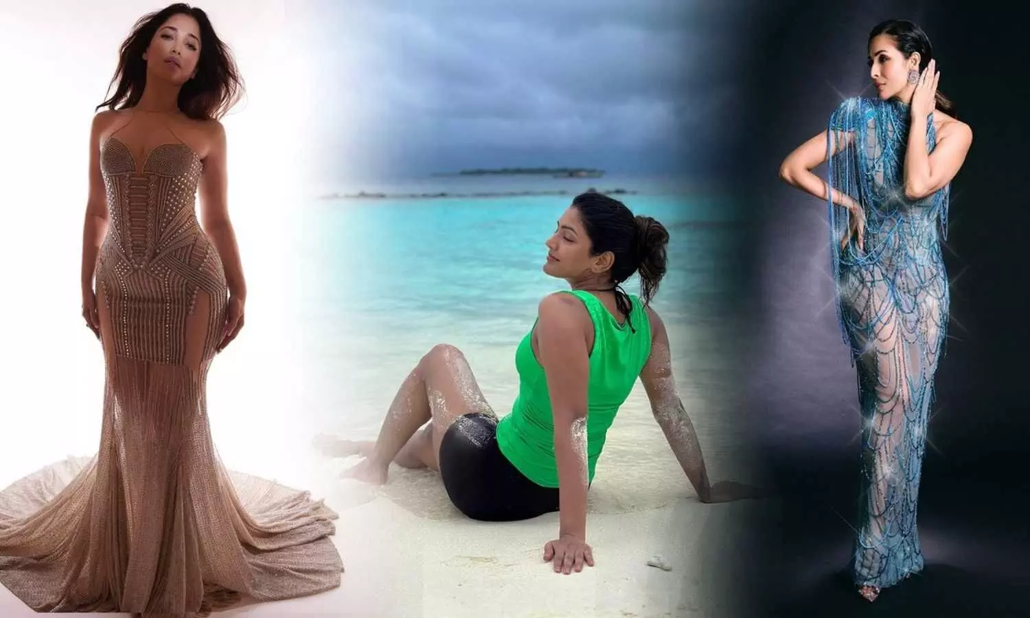 Tamannaah Photos, Janhvi Kapoor Photos, Malaika Arora Photos, Krithi Shetty Photos