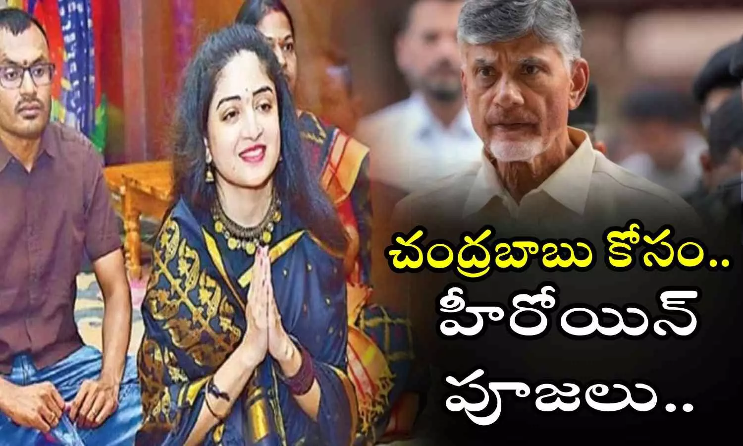 Poonam Kaur, Chandrababu Naidu, TDP