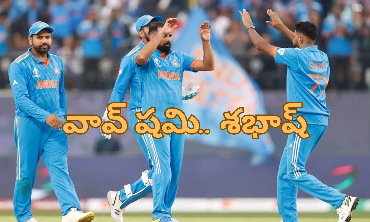 mohammed shami, india, new zealand, one day