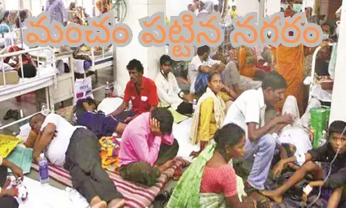 viral fever, patients, hospitals, season