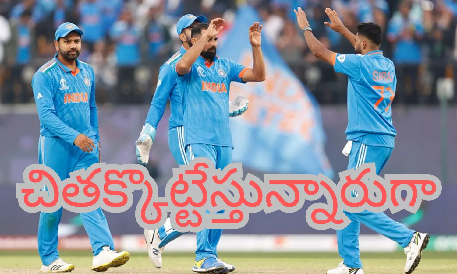 team india, world cup 2023, five victory, cup team india, world cup 2023, five victory, cup