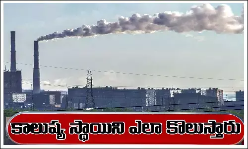 Pollution Level