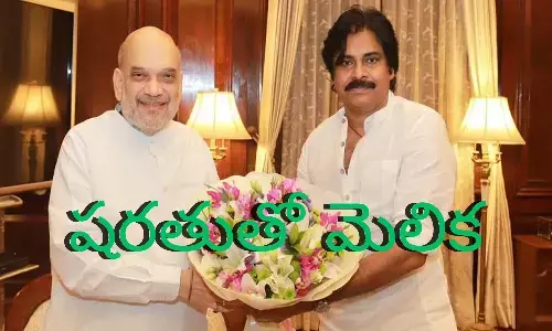 Pawan Kalyan : అమిత్ షా అదే అడిగితే.. దానికి షరతు ఇదేనట