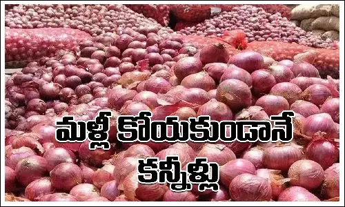 Onion Price