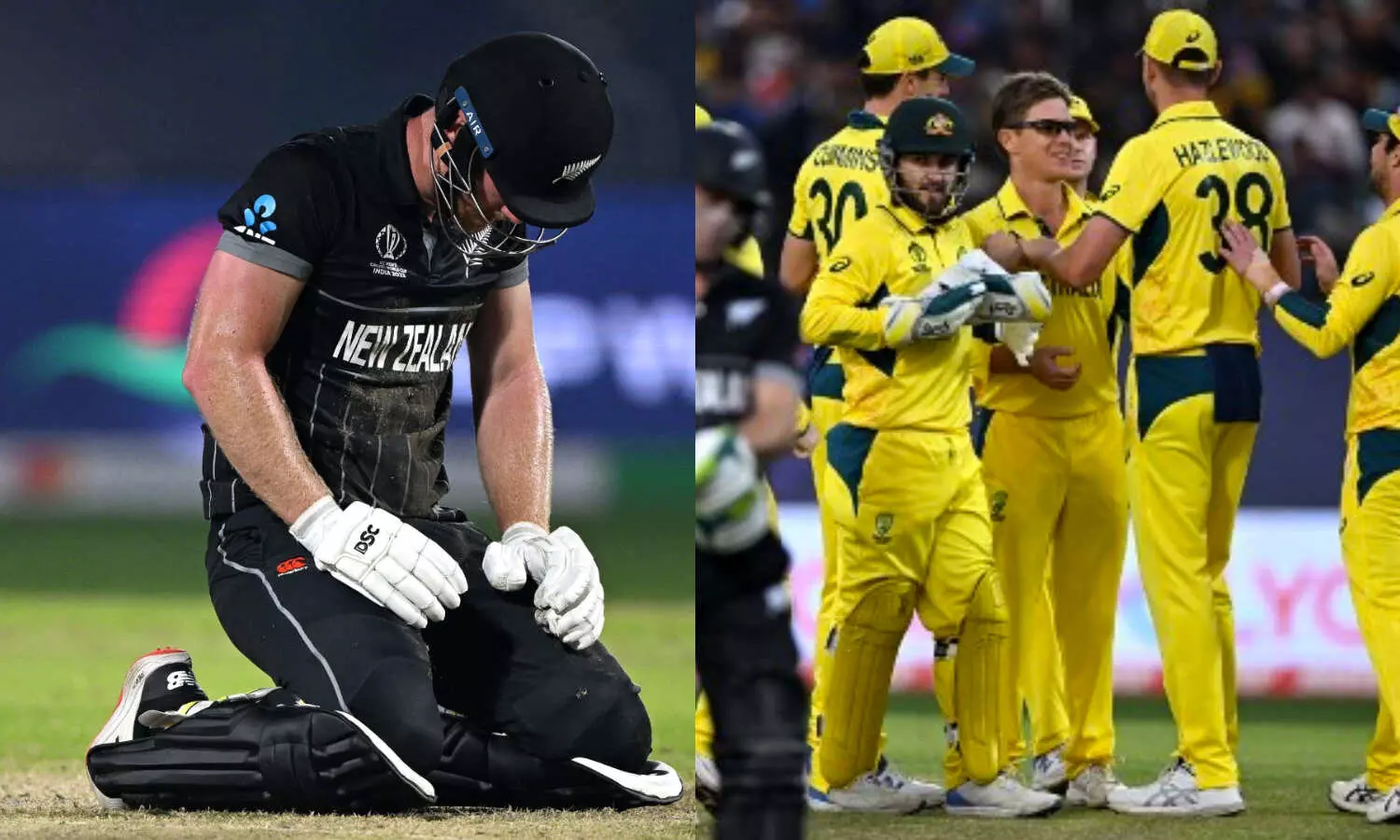 Dharmashala, AUSvsNZ, NZvsAUS, TeamAustralia, Newzealnd