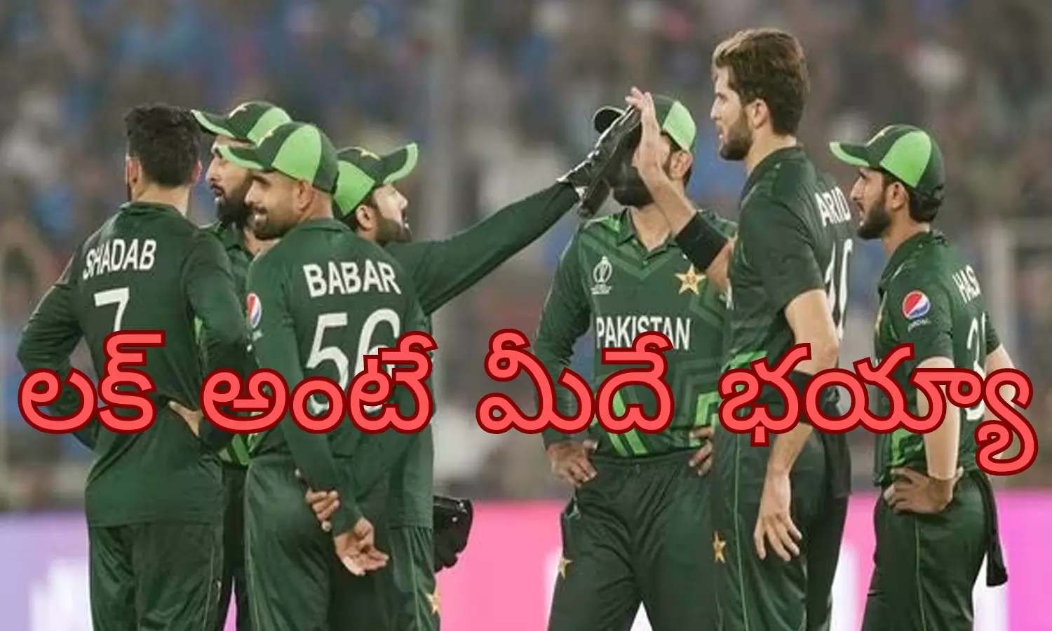 australia, player, world cup, pakisthan, semi final, gless maxwell, injury