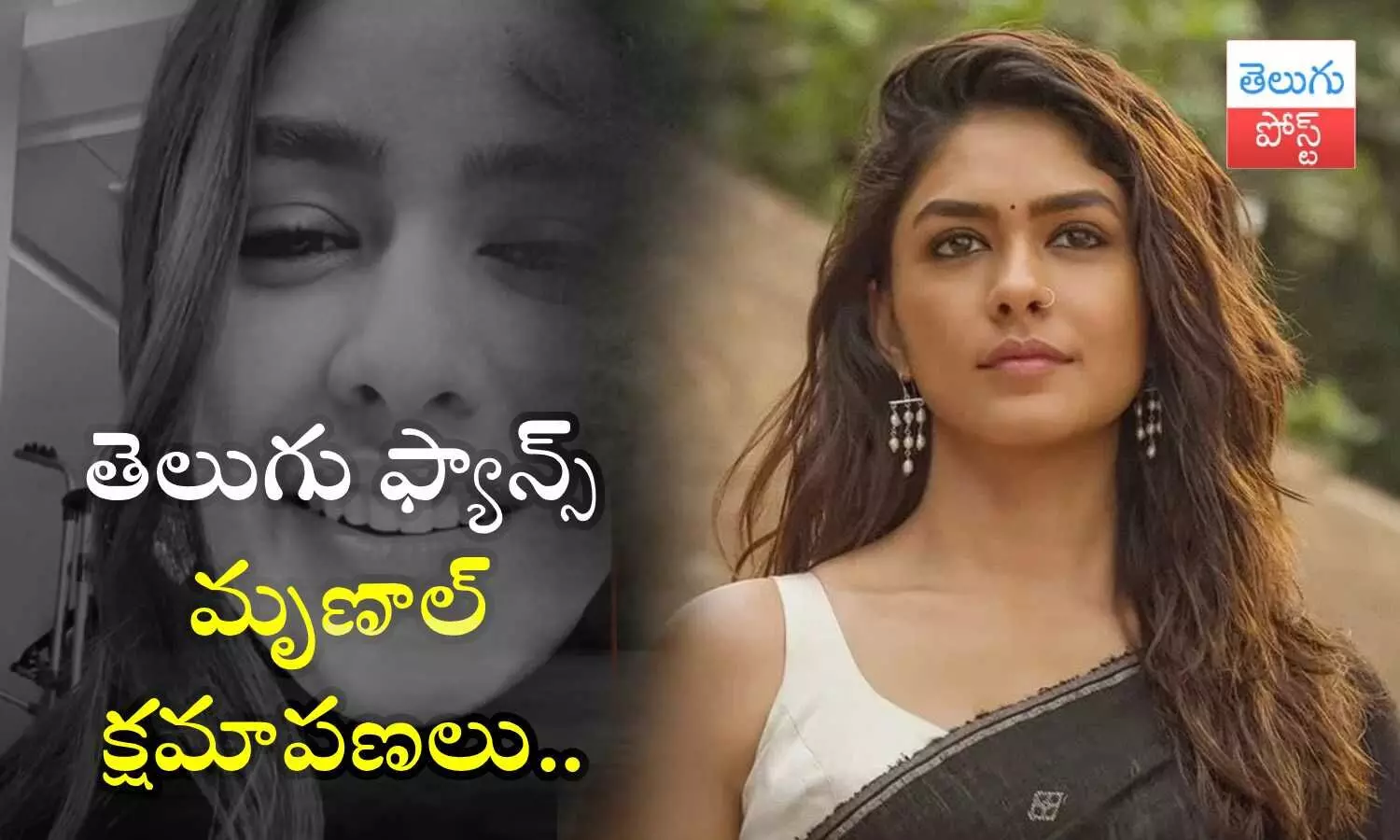 Hi Nanna,  movie, Mrunal Thakur, Telugu Audience