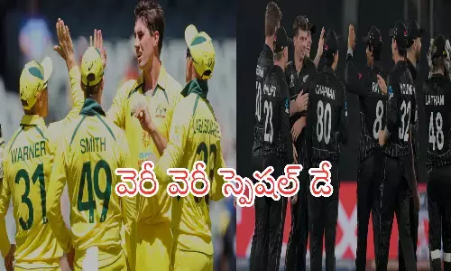australia, world cup, pakisthan, new zealand, cricket match, semis