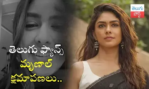 Hi Nanna,  movie, Mrunal Thakur, Telugu Audience