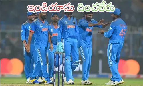 india, south africa, world cup, victory, points table
