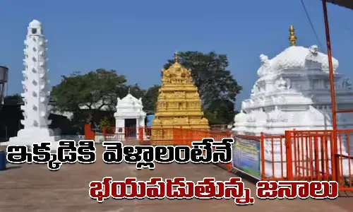Vikarabad, Leopards, Ananta Padmanabha Swamy Temple, Telangana, Hyderabad