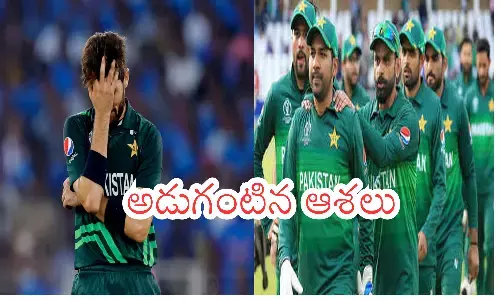 pakistan, newzealand, england, srilanka,  semi-finals, world cup
