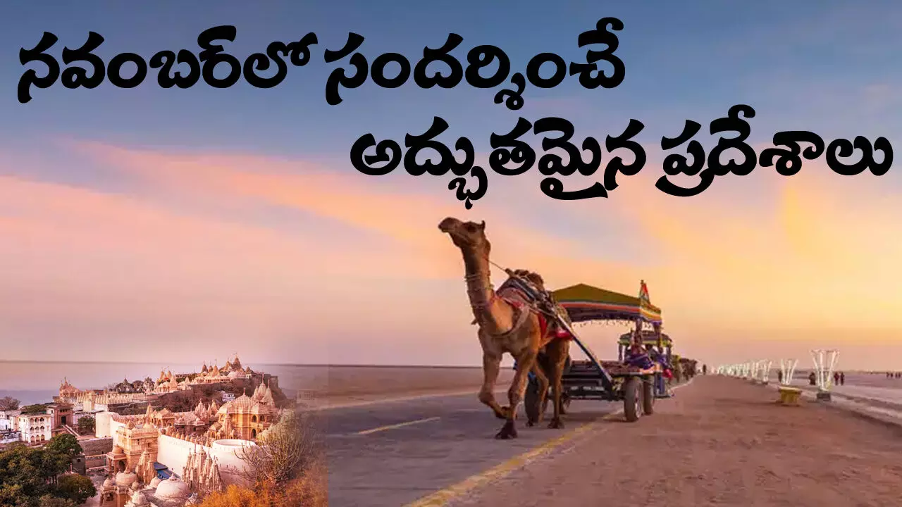 Best Places, Best tourist places, visit place, November Month, Gujarat