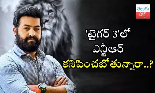 War 2, NTR, Hrithik Roshan, Salman Khan, Tiger 3