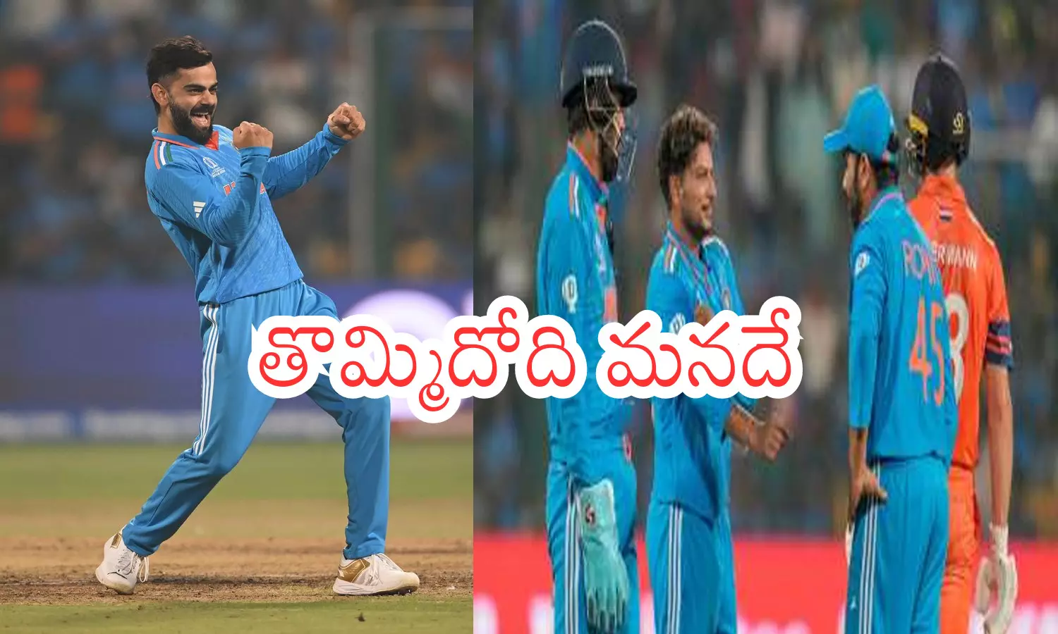 india, netherlands, world cup, benguluru, cricket match