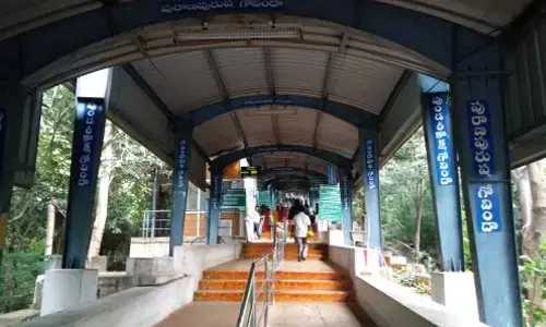 cheetah,  srivari metlu, divotees, tirumala