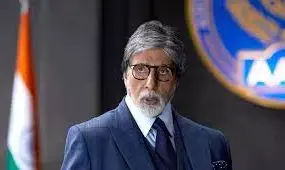 allu arjun, amitabh, pushpa, telugu actor