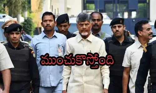 chandrababu, tdp chief, interim bail, high court