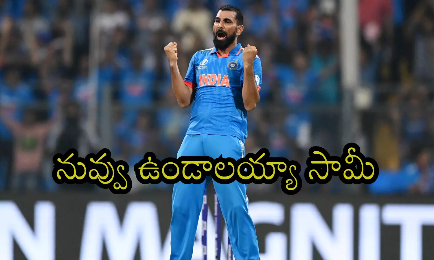 mohammad shami india, bowler. world cup