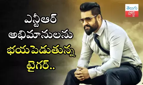 NTR, Hrithik Roshan, War 2, Devara, NTR fans