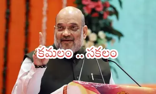 amit shah, home minister, bjp, manifesto, telangana