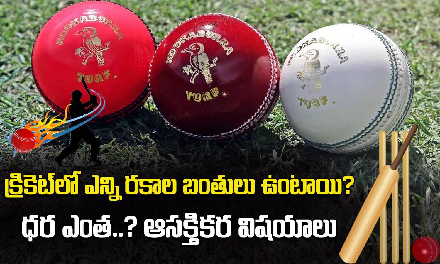 Cricket Balls క్రికెట్‌లో ఎన్ని రకాల బంతులు? వాటి ధరలు ఎంత? What are