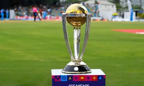 india, australia, food, world cup, cricket match