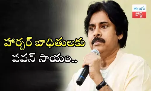Pawan Kalyan, visakha fishing harbour fire incident, Janasena, donation, victim families